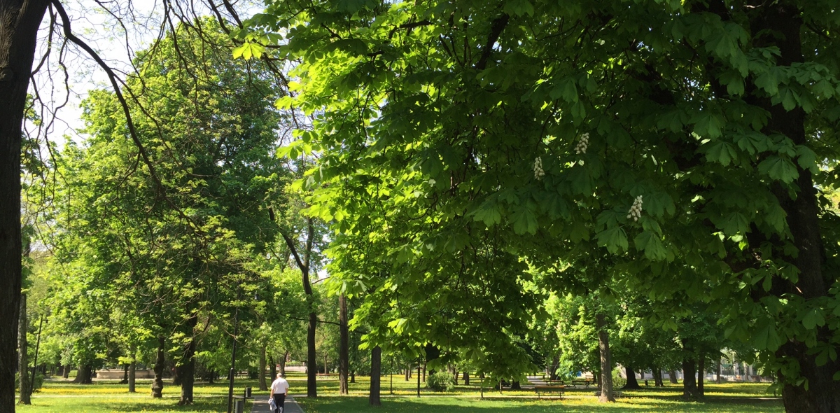  Rezidencia Mestský Park - exteriér